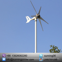 Professionelle Solar Wind System China Wind Turbine Hersteller